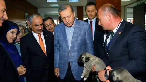 Cumhurbaşkanı Erdoğan, Sivas'ta iki yavru kangal köpeği hediye aldı