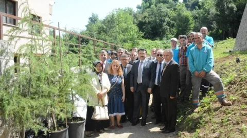 Ortahisar'da fidan dikim etkinliği