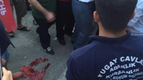 Adana'da CHP mitinginde koç kurbanı