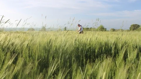 Beyşehir'de etkili olan yağışlar, çiftçilerin yüzünü güldürdü