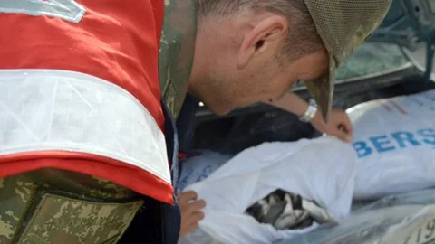 Bitlis'te jandarma ekipleri, Adilcevaz'da yol kontrolü sırasında 500 kilogram kaçak inci kefali balığı ele geçirdi.