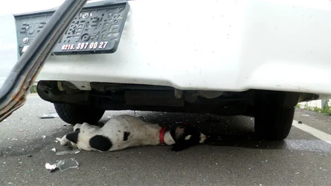 Bilecik'in Osmaneli ilçesinde kaza: 1 yaralı