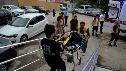 Ordu'da Ağaçtan Düşen Kadın Yaralandı