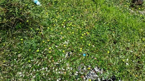 Ankara'da Dolu Yağışı
