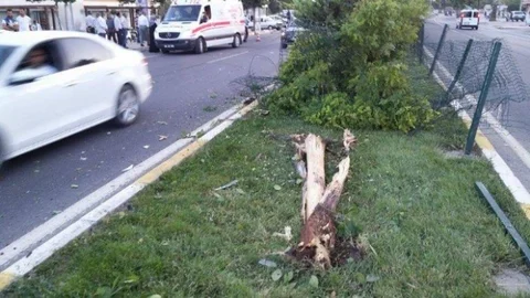 Adıyaman'da otomobil ağaca çarptı, yaralı yok