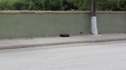 Saray'da şüpheli çanta alarmı