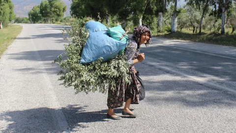 Aydın'da Sevgihan Teyze'nin yaşam mücadelesi dikkat çekiyor