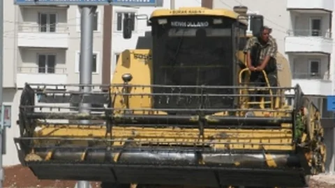 Kilis'te biçerdöver yoğunluğu yaşanıyor