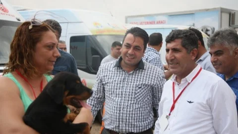 Adana'da sokak hayvanları hedef alındı