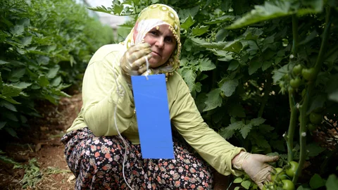 Büyükşehir' den Çiftçilere Destek