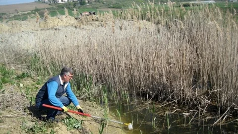 Gelibolu'da sivrisinek mücadelesi sürüyor