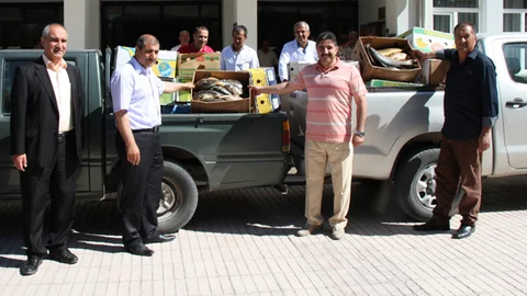 Elazığ'da Keban Barajı'nda yapılan denetimlerde 1,5 ton kaçak sazan yakalandı