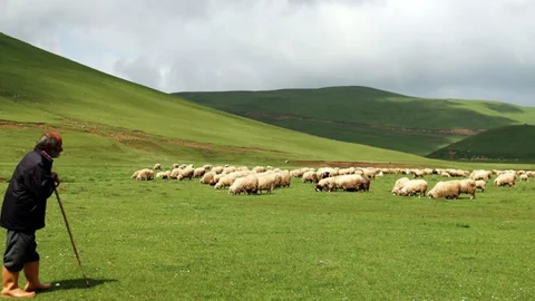 Aybastı'da Perşembe Yaylası'nın Büyüleyici Güzelliği