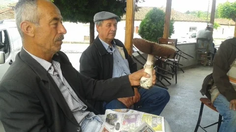 Çanakkale'de 1 kiloluk mantar dikkat çekti