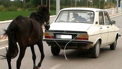 Çanakkale'de ilginç bir durum yaşandı