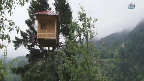 Rize'de gürgen ağacının tepesinde kurulan ev dikkat çekiyor