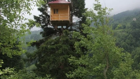 Rize'de gürgen ağacının tepesinde inşa edilen ev dikkat çekiyor