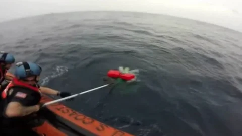 Okyanusta kaplumbağa kurtarma operasyonu