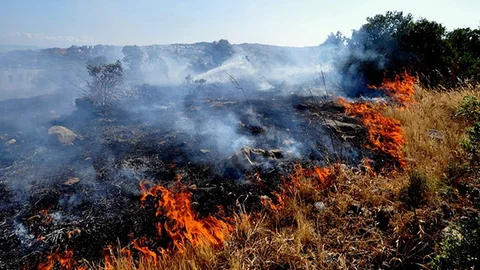 Muğla'da Yangın Korkuttu