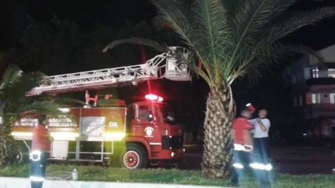 Balıkesir Ayvalık'ta yavru kedi için itfaiye seferber oldu