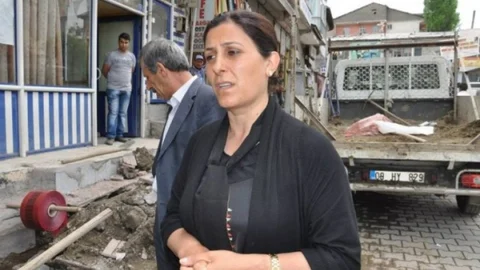 Muş'ta Bulanık Belediyesi Aydınlatma Çalışmalarını Sürdürüyor