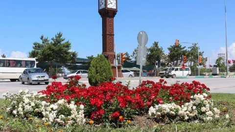 Beyşehir'de çiçeklendirme çalışmaları