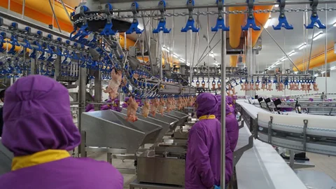 Nisan ayında Türkiye'de kesilen tavuk ve hindi sayısında artış yaşandı.