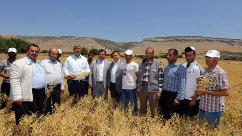 Gaziantep nohut üretiminde Türkiye’nin merkezi olmaya hazırlanıyor