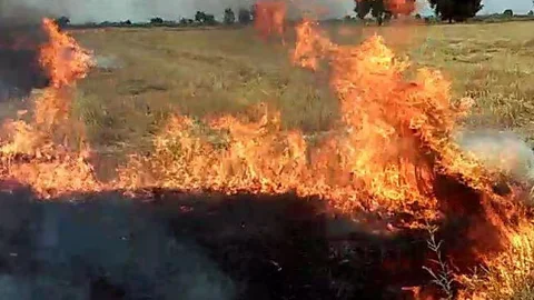 Adana'da anız yangınları tedirginlik yarattı