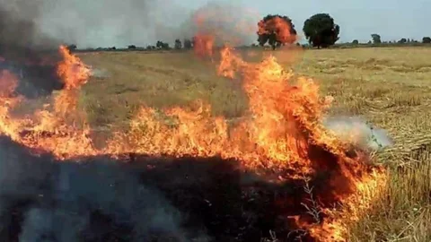 Adana'da anız yangınları korku yarattı