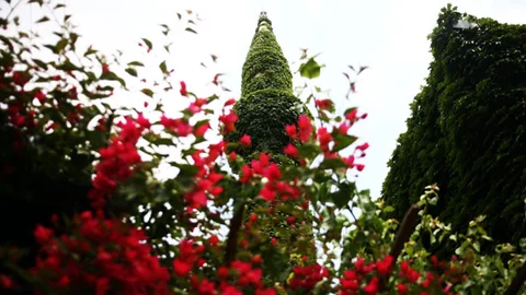 Adana'da rengarenk çiçekleriyle dikkat çeken Köprüköyü Camii, ziyaretçilerine huzur dolu anlar sunuyor.