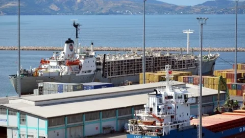 Bandırma'da İthal Büyükbaş Hayvanlar Gelmeye Başladı