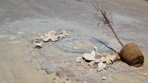 Ayvalık'ta temizlik çalışmaları