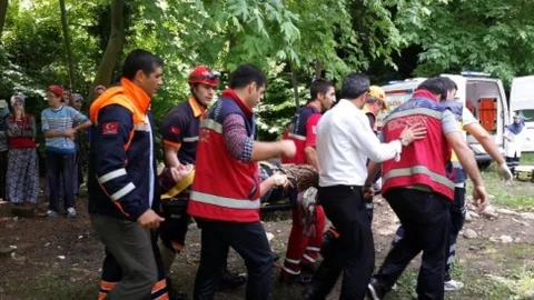 Yalova’da ağaçtan düşen yaşlı kadın için AFAD ekipleri seferber oldu