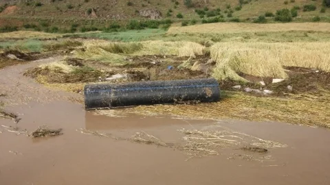 Laçin'de Sel Çeltik Arazilerini Vurdu