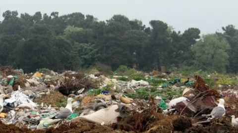 Ordu'da çevre kirliliği nedeniyle 2010-2014 yılları arasında 3 milyon lira ceza kesildi.