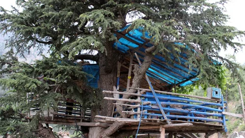 Kahramanmaraş'ta ağaç evde yaşayan Zeki Kurt, doğayla iç içe bir hayat sürüyor