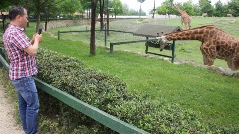 Bursa'da Hayvanat Bahçesi'ne Yoğun İlgi