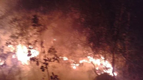 Muğla'da Yıldırım Düşmesi Orman Yangınına Yol Açtı