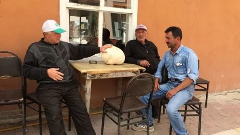 Bilecik'te dev mantar şaşırtıyor