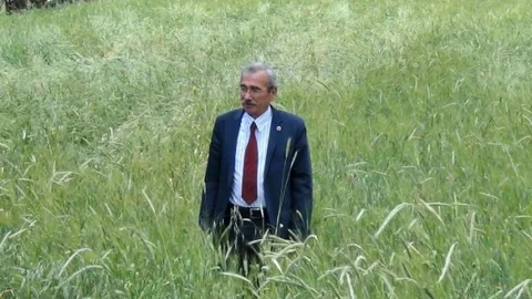 Kütahya'da yüksek rekolte bekleniyor