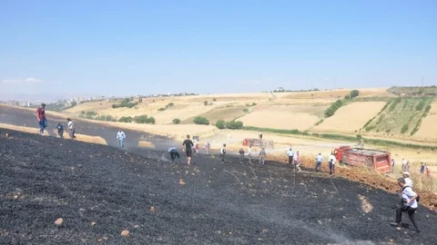 Adıyaman'da buğday tarlası yangını