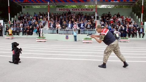 Tokat'ta Jandarma Teşkilatı'nın kutlamasında 'Bahis' isimli narkotik köpeği dikkat çekti.