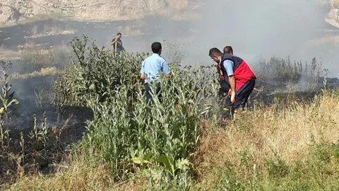 Van Kalesi'nde korkutan yangın!