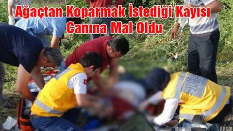 Mersin'e Tatile Gelen Kadının Acı Ölümü