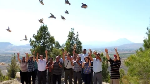 Mersin'de kene ile mücadele için 2 bin kınalı keklik doğaya bırakıldı