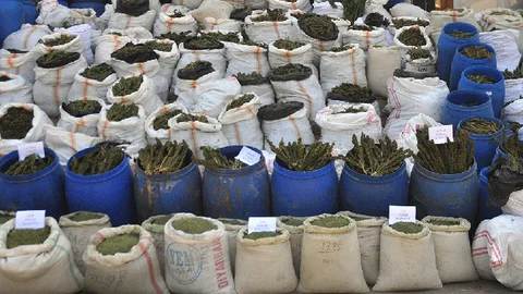 Mersin de 1 Ton Esrar Ele Geçirildi