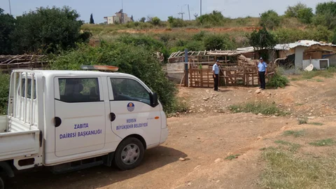 Mersin de Şehir içerisinde hayvan besiciliği yapanlara ceza