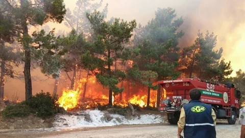 Ciğerlerimiz Yanıyor, 1 Mahalle Boşaltıldı