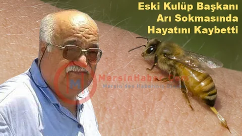 Mersin'de Arı Sokan Eski Klüp Başkanı Öldü